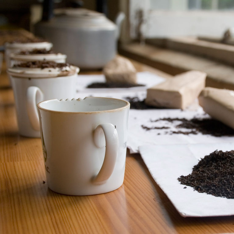 The-Perfect-Cuppa_Mobile