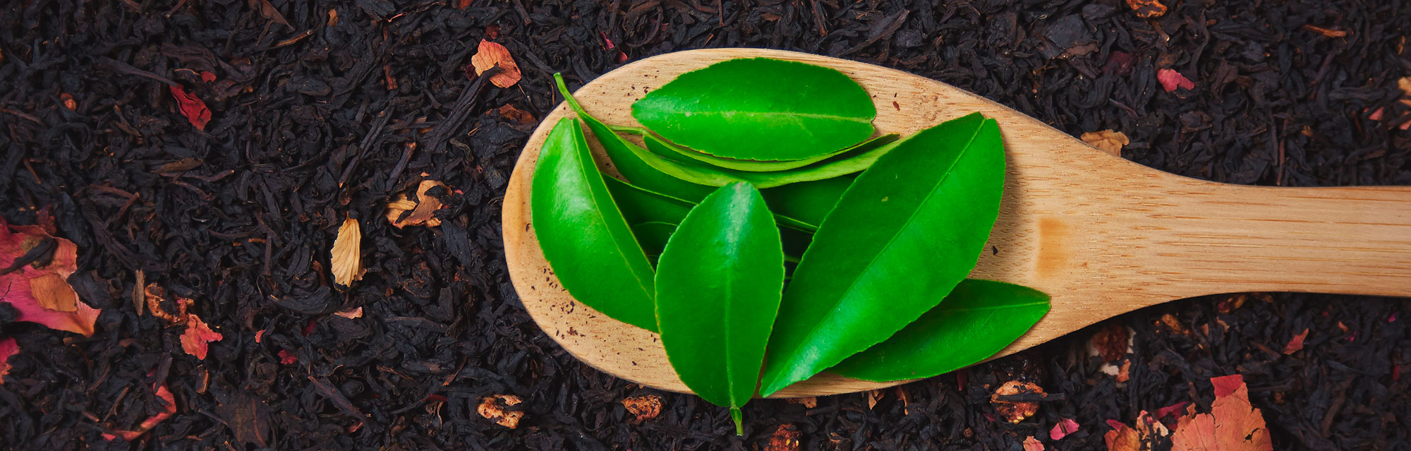 Skąd pochodzi herbata?