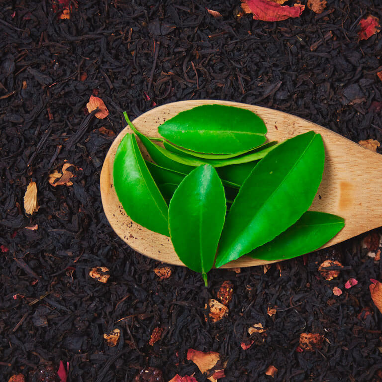 Skąd pochodzi herbata?